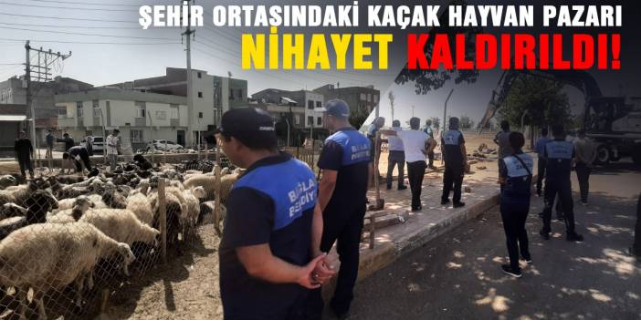 Şehir ortasındaki kaçak hayvan pazarı nihayet kaldırıldı