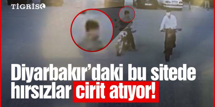 Diyarbakır’daki bu sitede hırsızlar cirit atıyor!