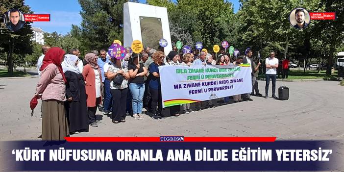 ‘Kürt nüfusuna oranla ana dilde eğitim yetersiz’