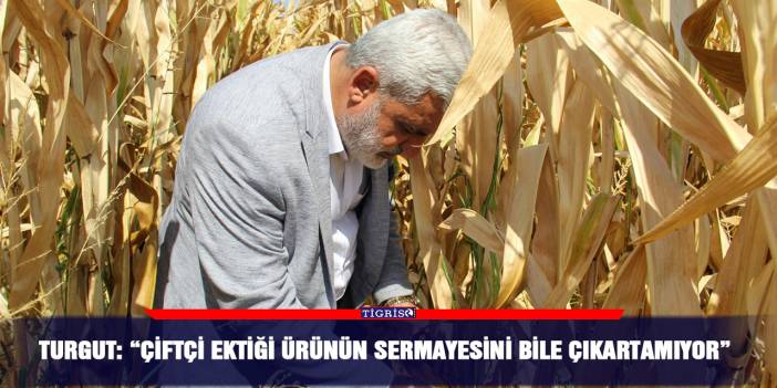 Turgut: “Çiftçi ektiği ürünün sermayesini bile çıkartamıyor”