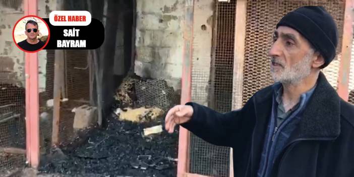 Güvercin oteli enkaza döndü!