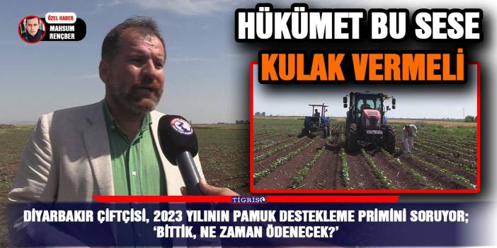 Diyarbakır çiftçisi, 2023 yılının pamuk destekleme primini soruyor; ‘Bittik, ne zaman ödenecek?’