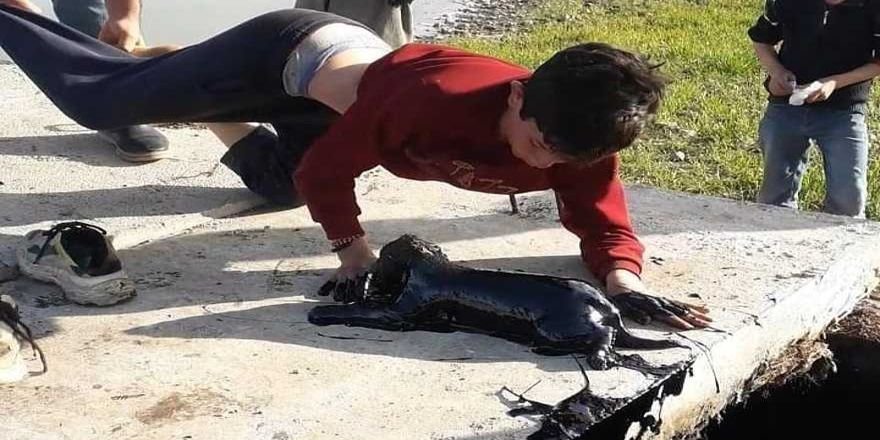 Sur’a bağlı Özekli köyünde petrol atık kuyusu tehlike saçıyor