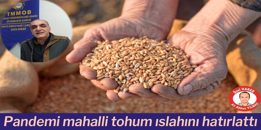 Pandemi mahalli tohum ıslahını hatırlattı