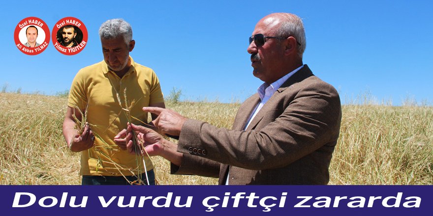 Dolu vurdu çiftçi zararda