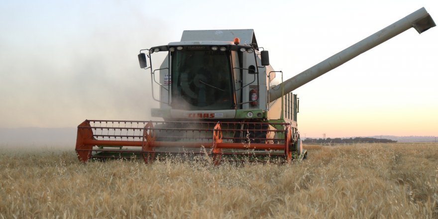 Diyarbakırlı çiftçi hasattan memnun