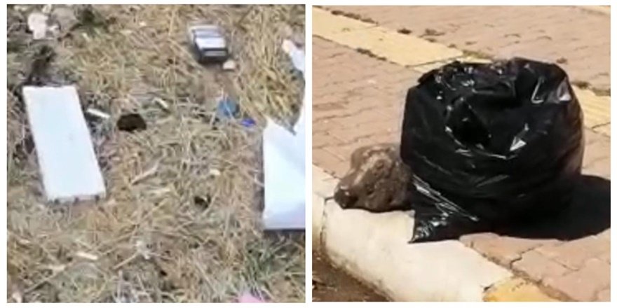 Kayapınar çöplükten geçilmiyor!