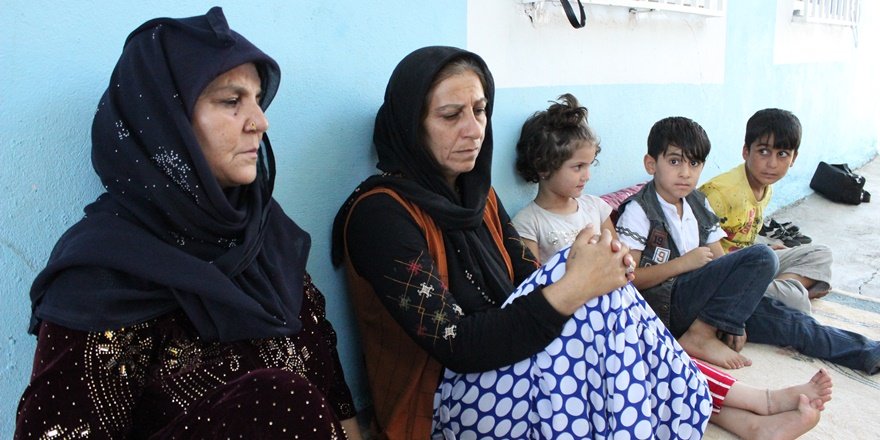 Anadolu’nun tapusuz insanları domlar