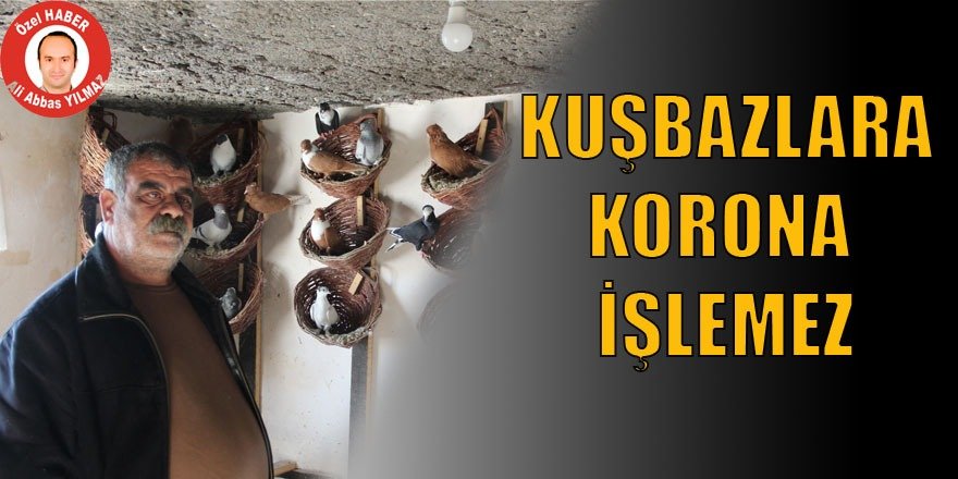 Diyarbakırlı fenomen Hamit: Kuşbazlara korona işlemez