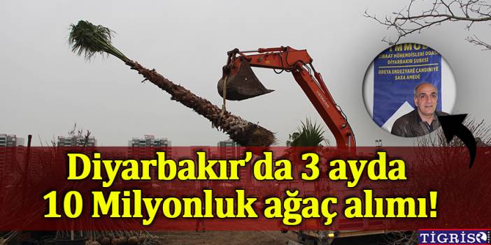 Diyarbakır’da 3 ayda 10 milyonluk ağaç alımı!